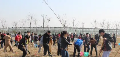 公益慶典